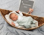 Neugeborenes Baby in einem Korb, trägt einen grünen Overall mit einem Tiermotiv. Neben ihm steht ein Schild mit der Aufschrift "Willkommen Jari!" und ein Spielzeugbär.
