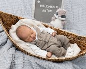 Ein schlafendes Baby in einem Korb, gekleidet in einem grauen Anzug, mit einem Plüschtier und einem Schild mit der Aufschrift "Willkommen Anton".