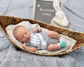 Neugeborenes Baby in einem Korb, eingekuschelt in eine Decke, mit einem Schild, das "Willkommen Linus" zeigt. Ein Plüschtier ist ebenfalls sichtbar.