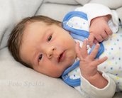 Neugeborenes Baby mit braunen Haaren, das in einem weißen und blauen Outfit auf einem grauen Hintergrund liegt und die Hände hebt.