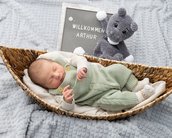 Neugeborenes Baby in einem Korb, trägt einen grünen Strampler. Neben ihm steht ein Schild mit der Aufschrift "Willkommen Arthur" und ein Plüschbär.
